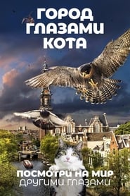 Постер к фильму Город глазами кота